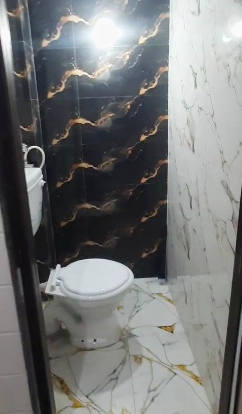 Dolphin PG B-460 Photo 6 Dolphin PG B-460 Photo 6