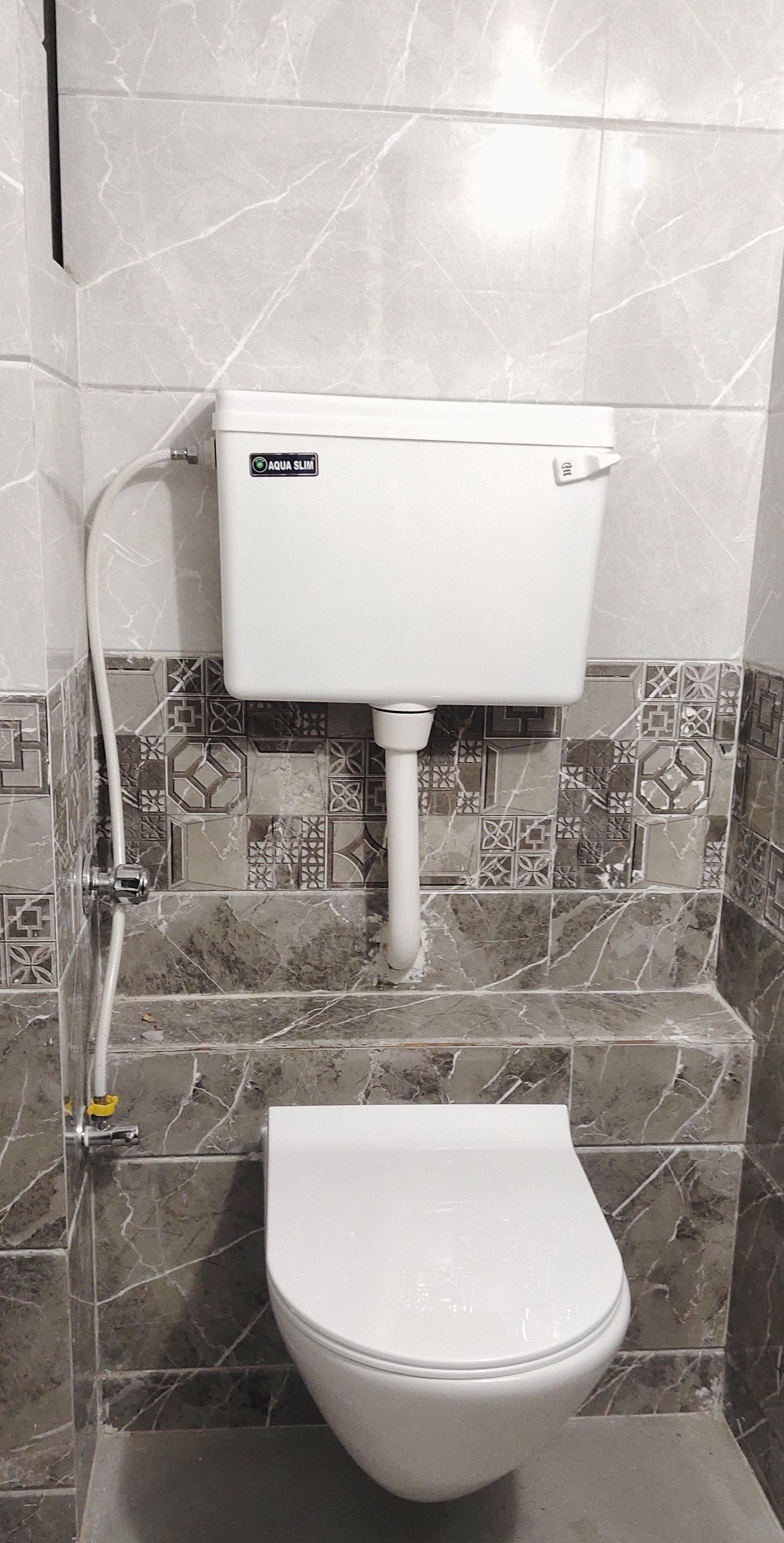 Dolphin PG G-24 Photo 5