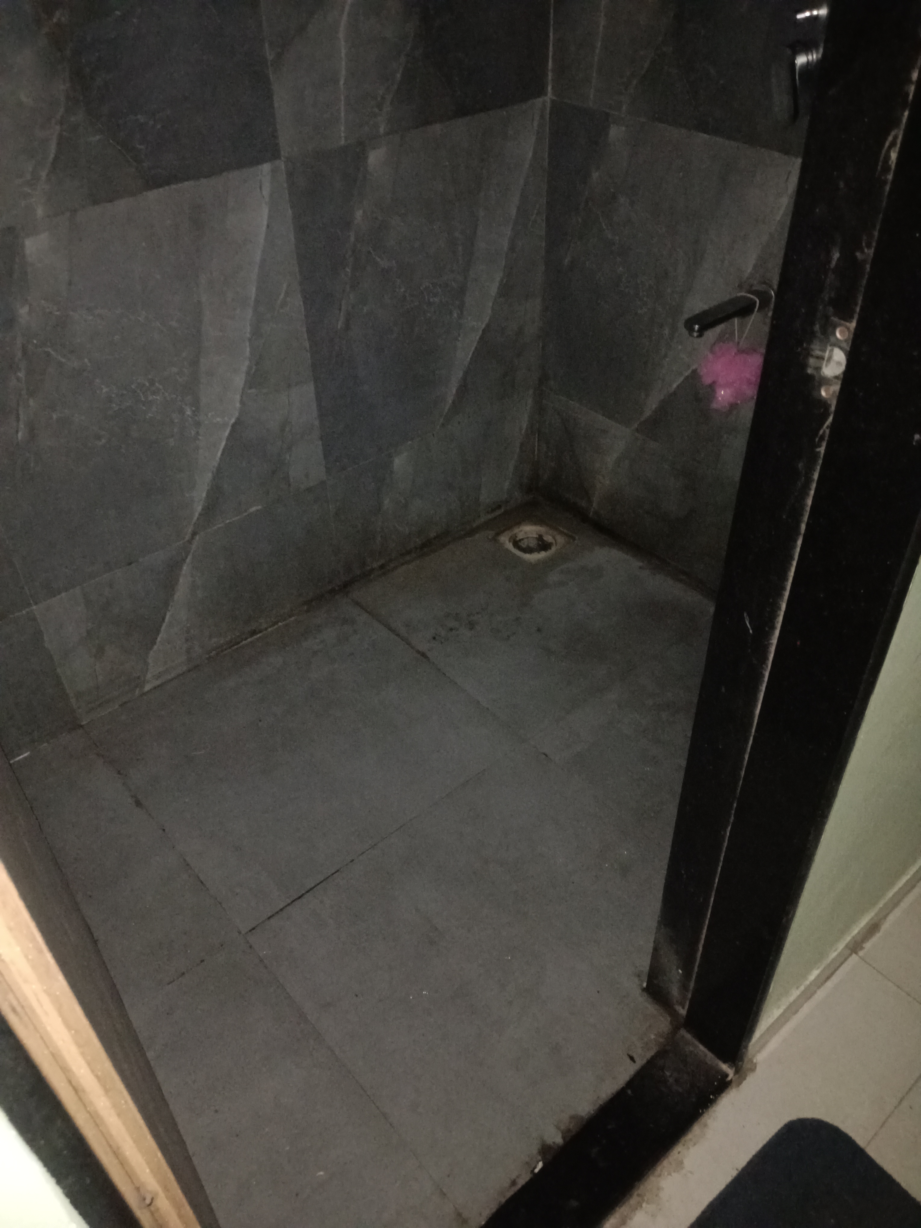 Sharddha Prestige 2201 Girls  - Image 4