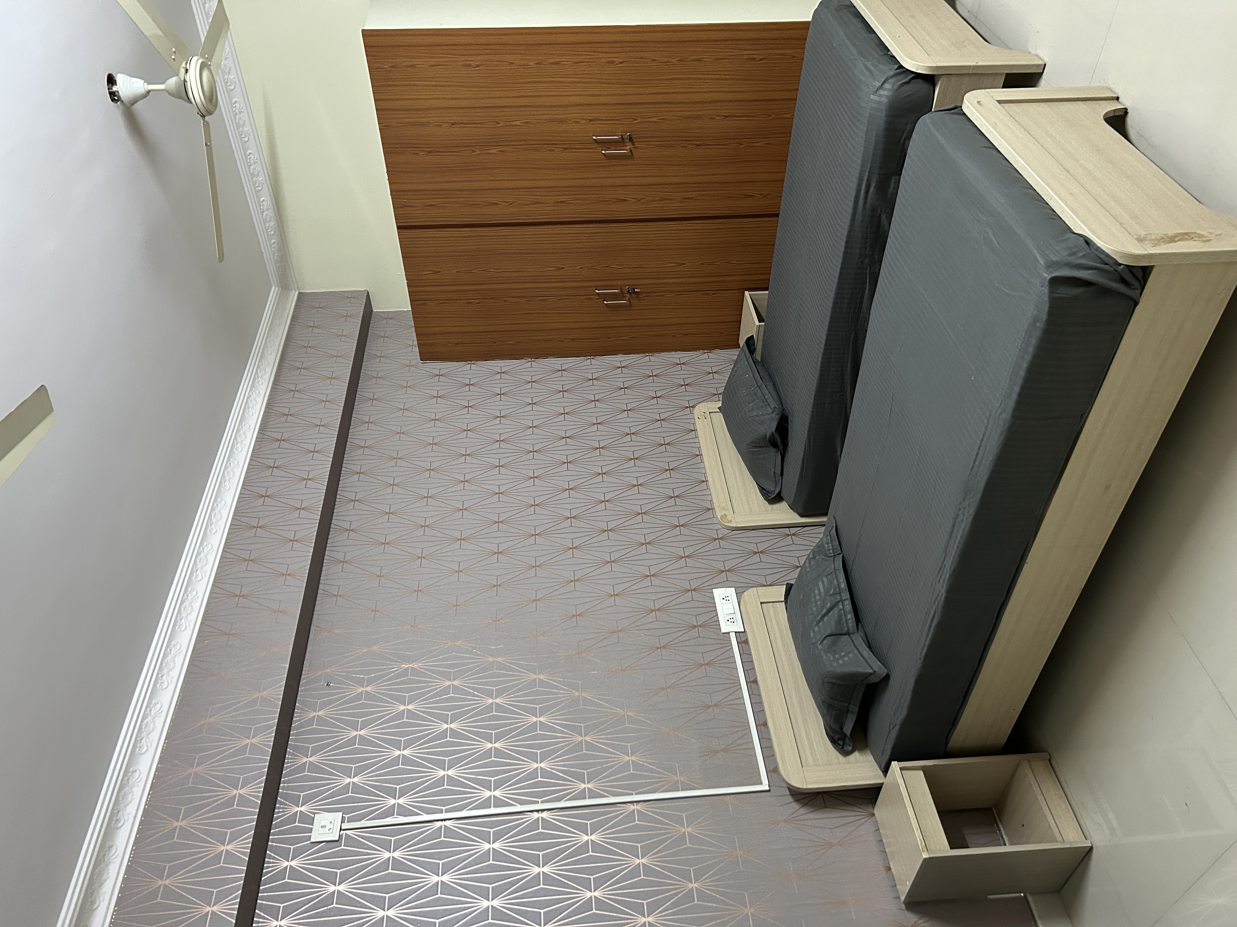 Star Colive PG MH1 Photo 1 Star Colive PG MH1 Photo 1