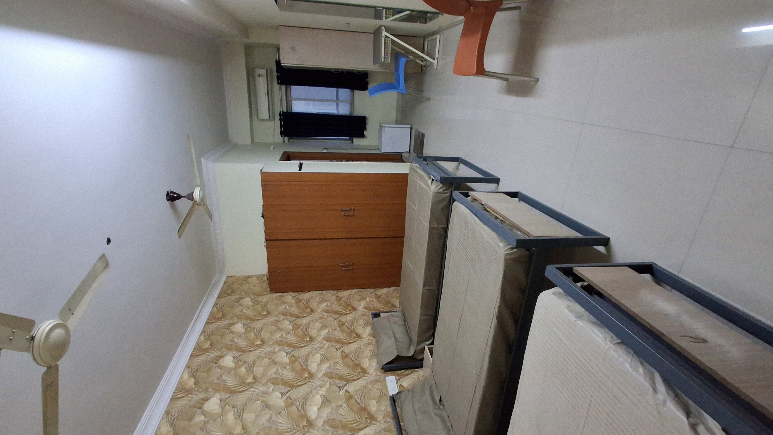 Star Colive PG MH1 Photo 2 Star Colive PG MH1 Photo 2