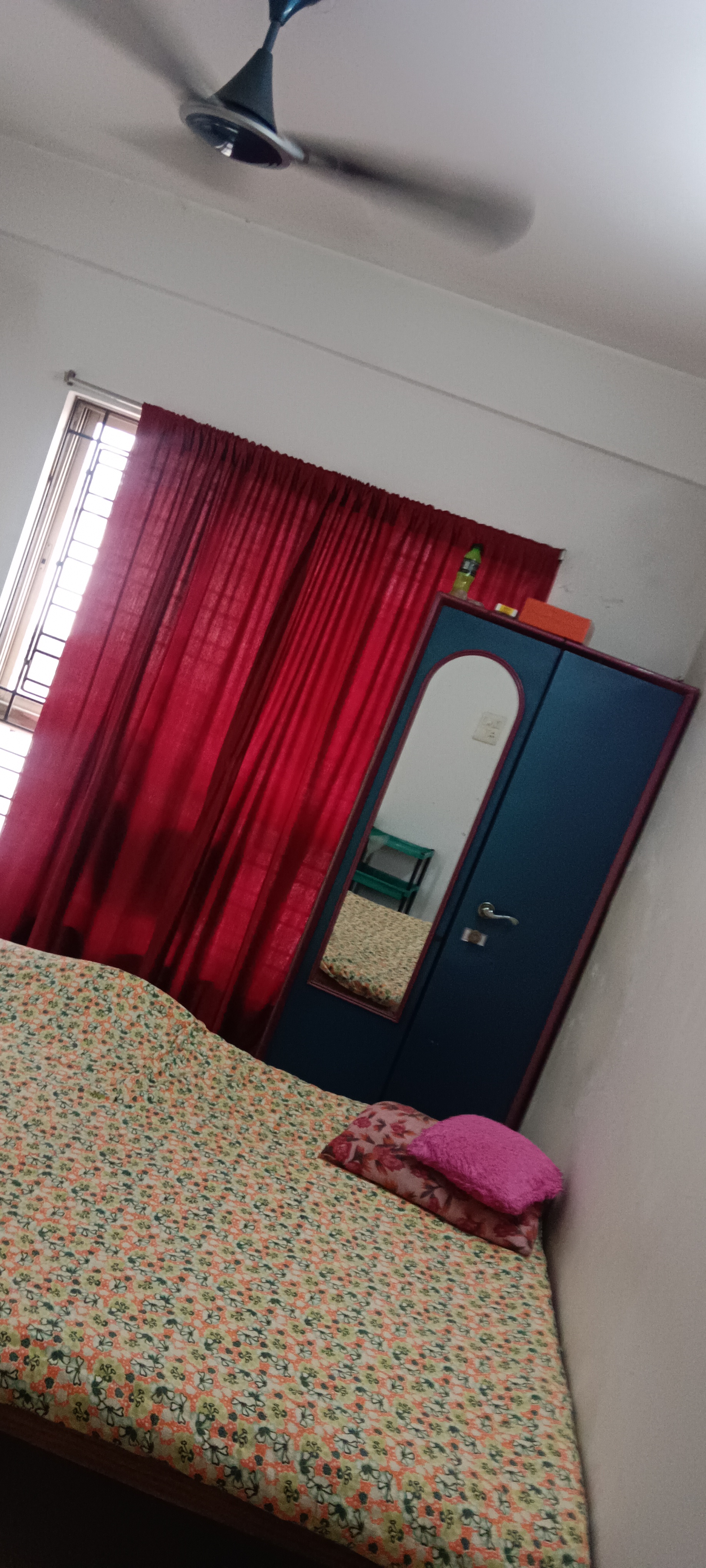 Dream Excellency  - Image 6