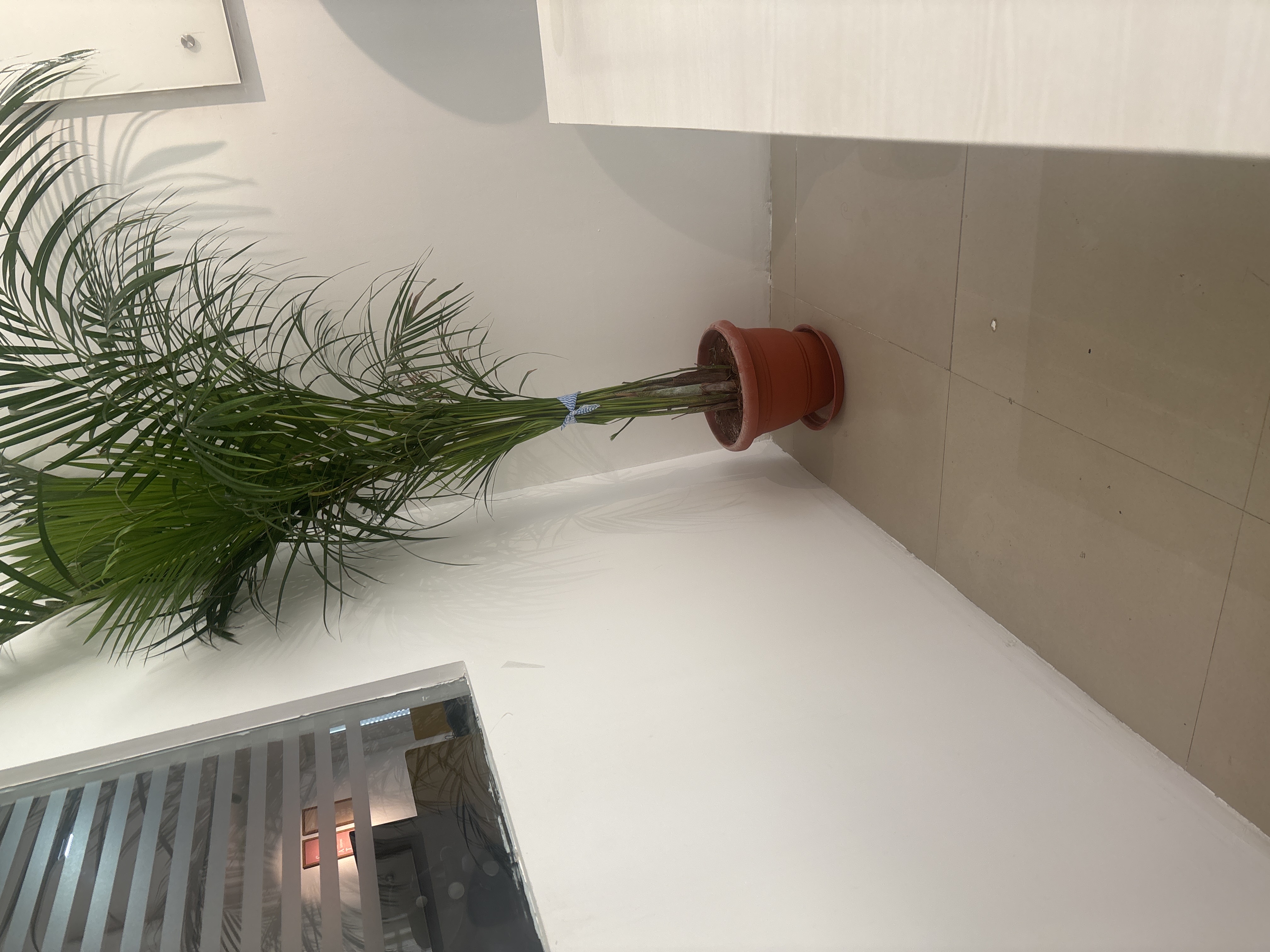 YS - Bungalow Road 42 Photo 4