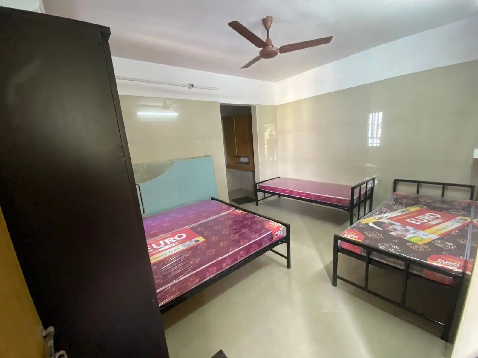 PAVO Photo 2 PAVO Photo 2