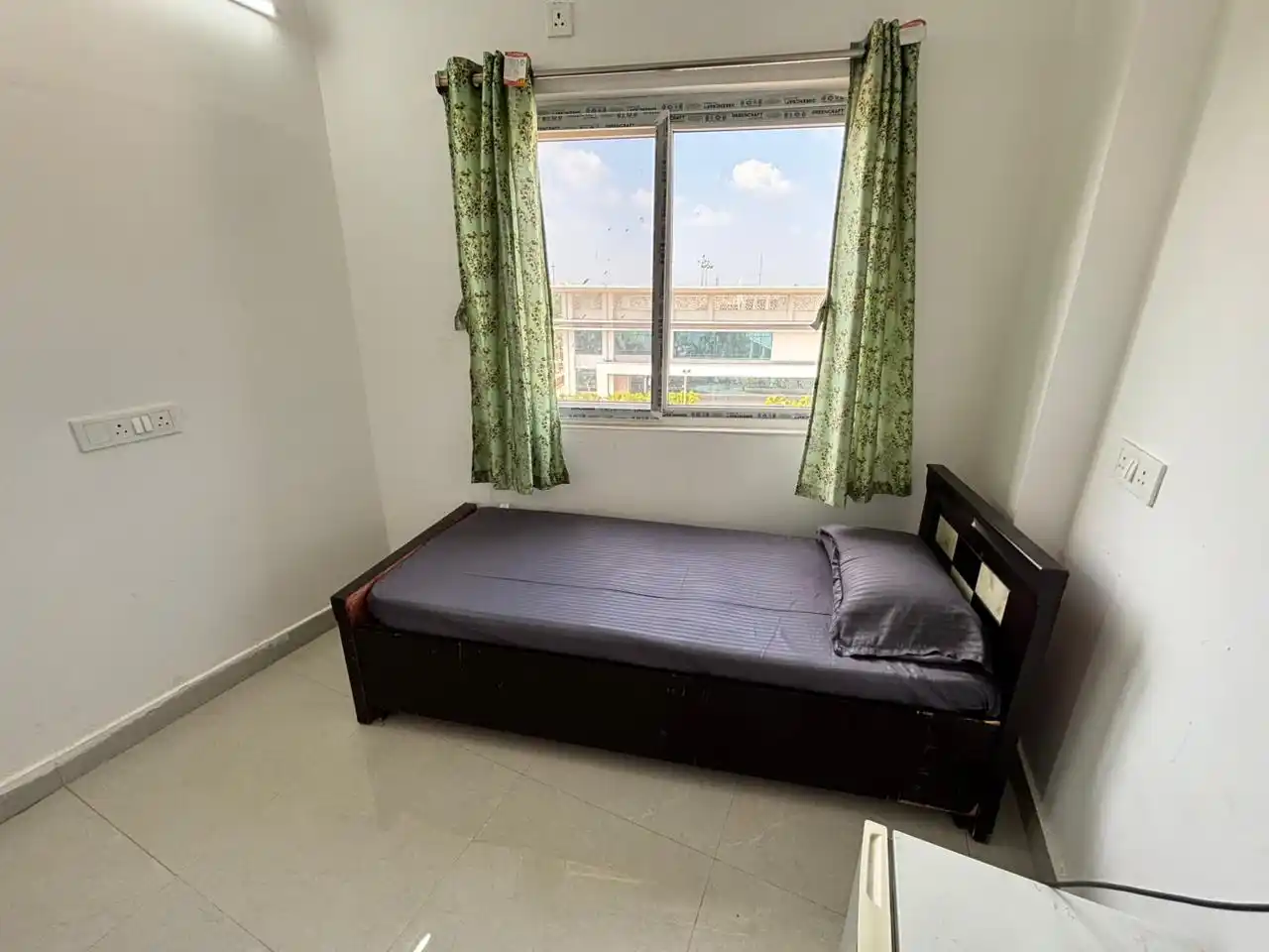 Daisy PG Photo 4 Daisy PG Photo 4