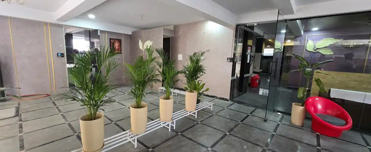 Stoneroof PG-Women's - Image 6