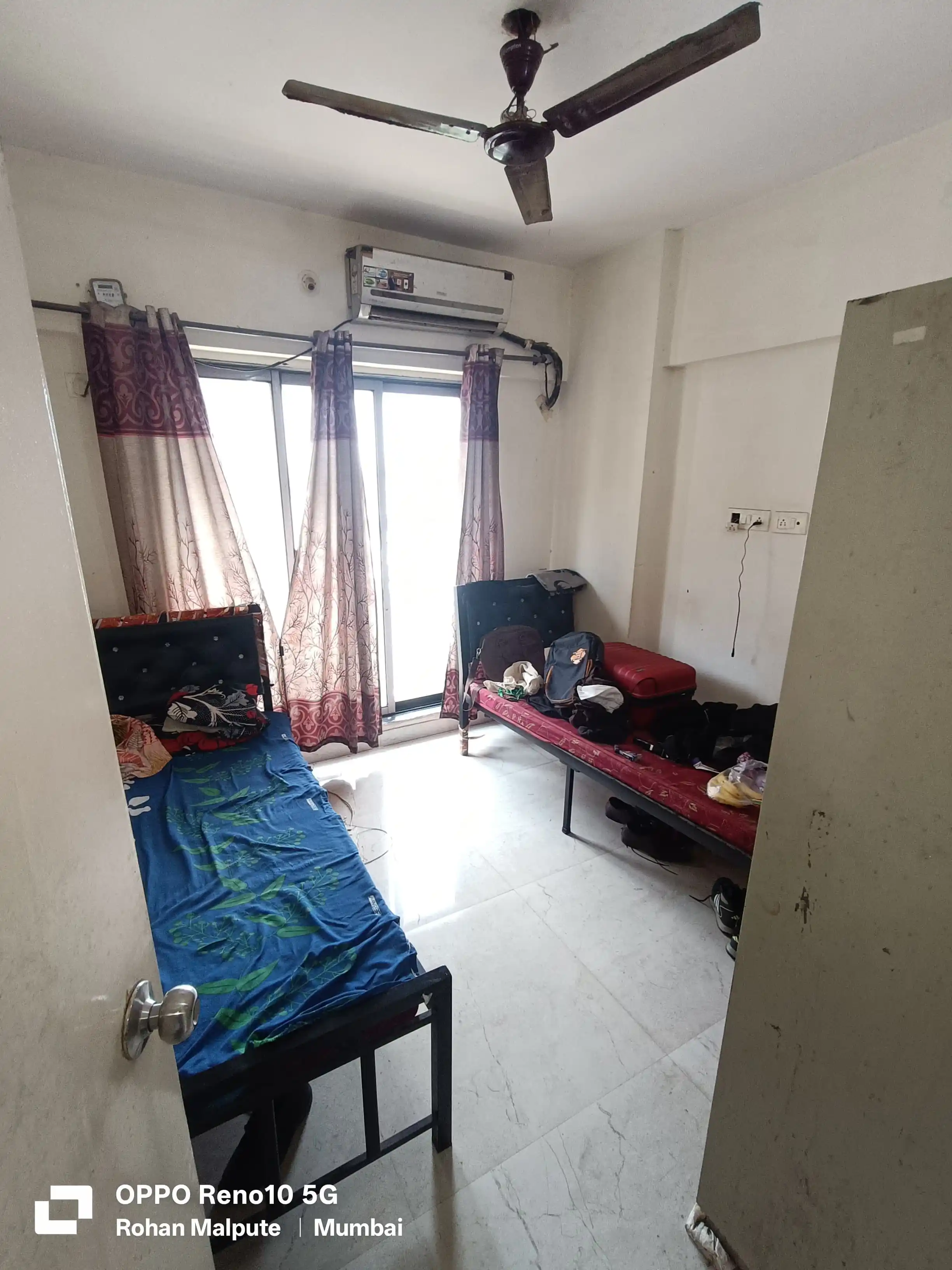 Premier Exotica - Image 2