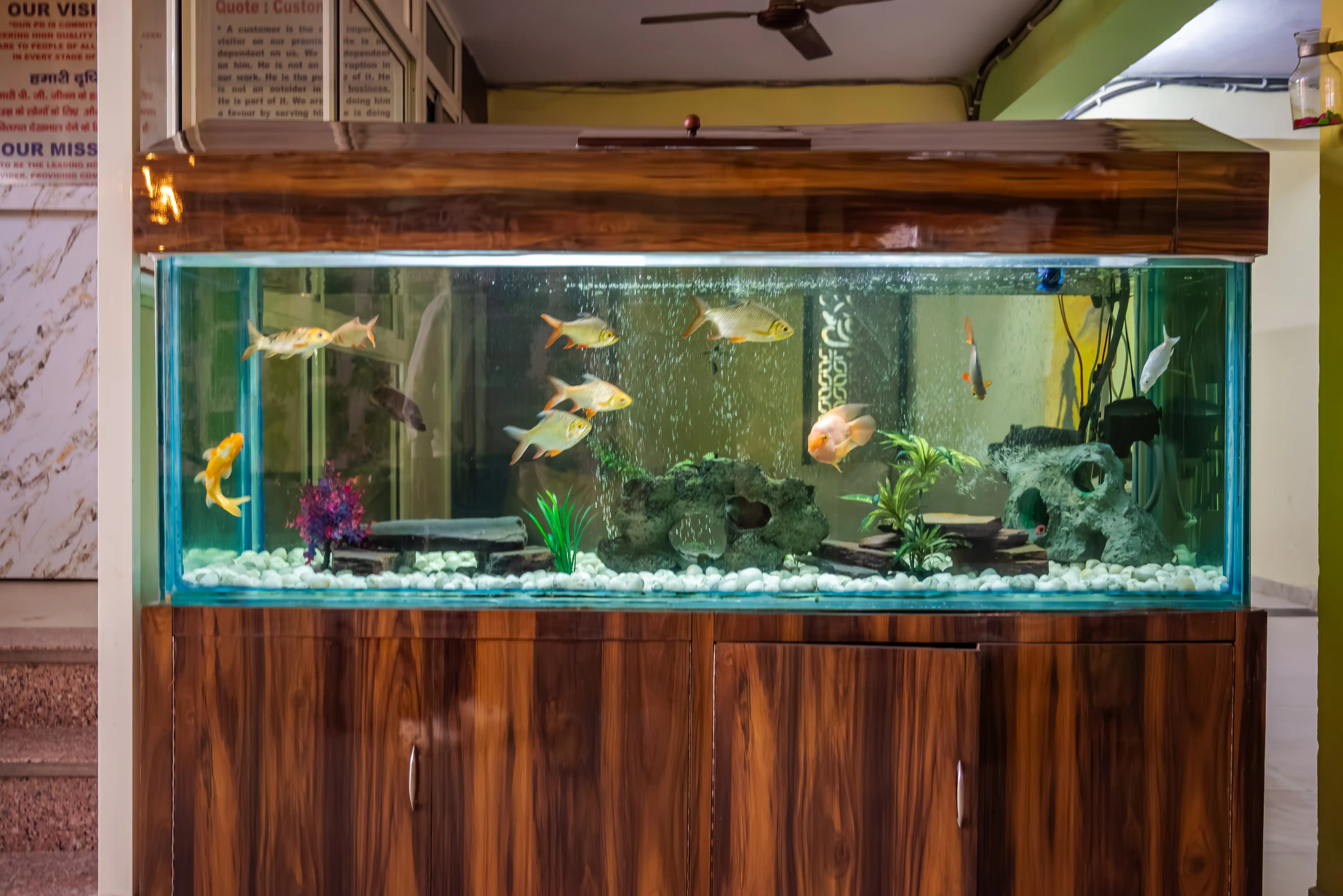 House No 10 - Image 7