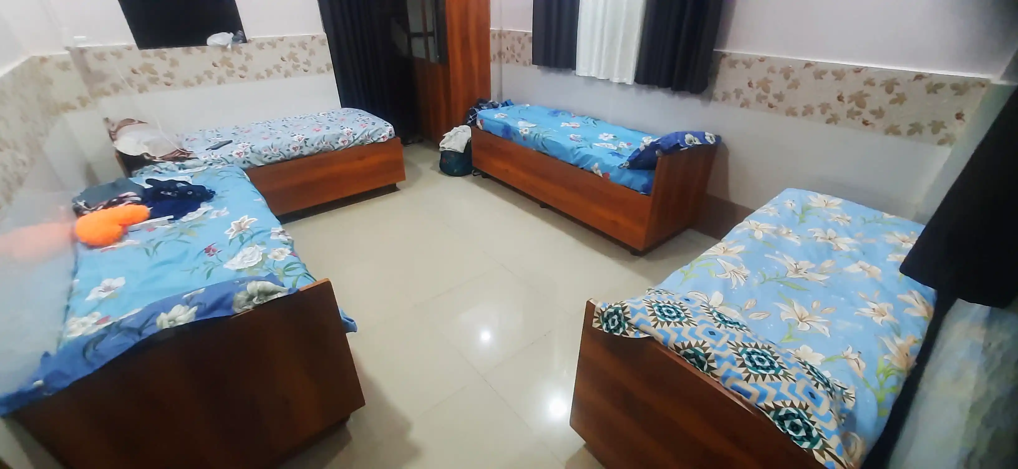 Dolphin PG H-14 Photo 1