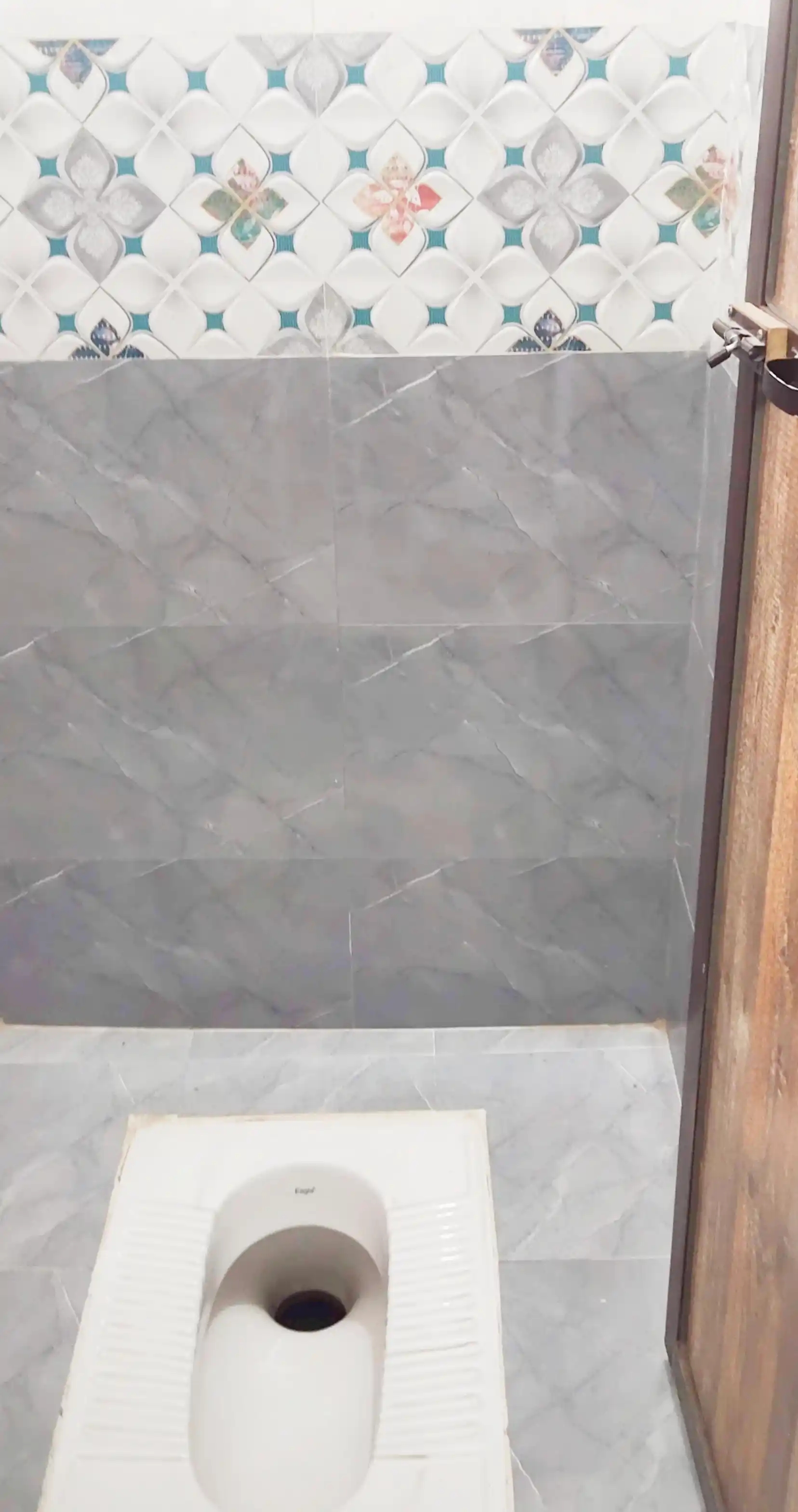 Dolphin PG H-14 Photo 3