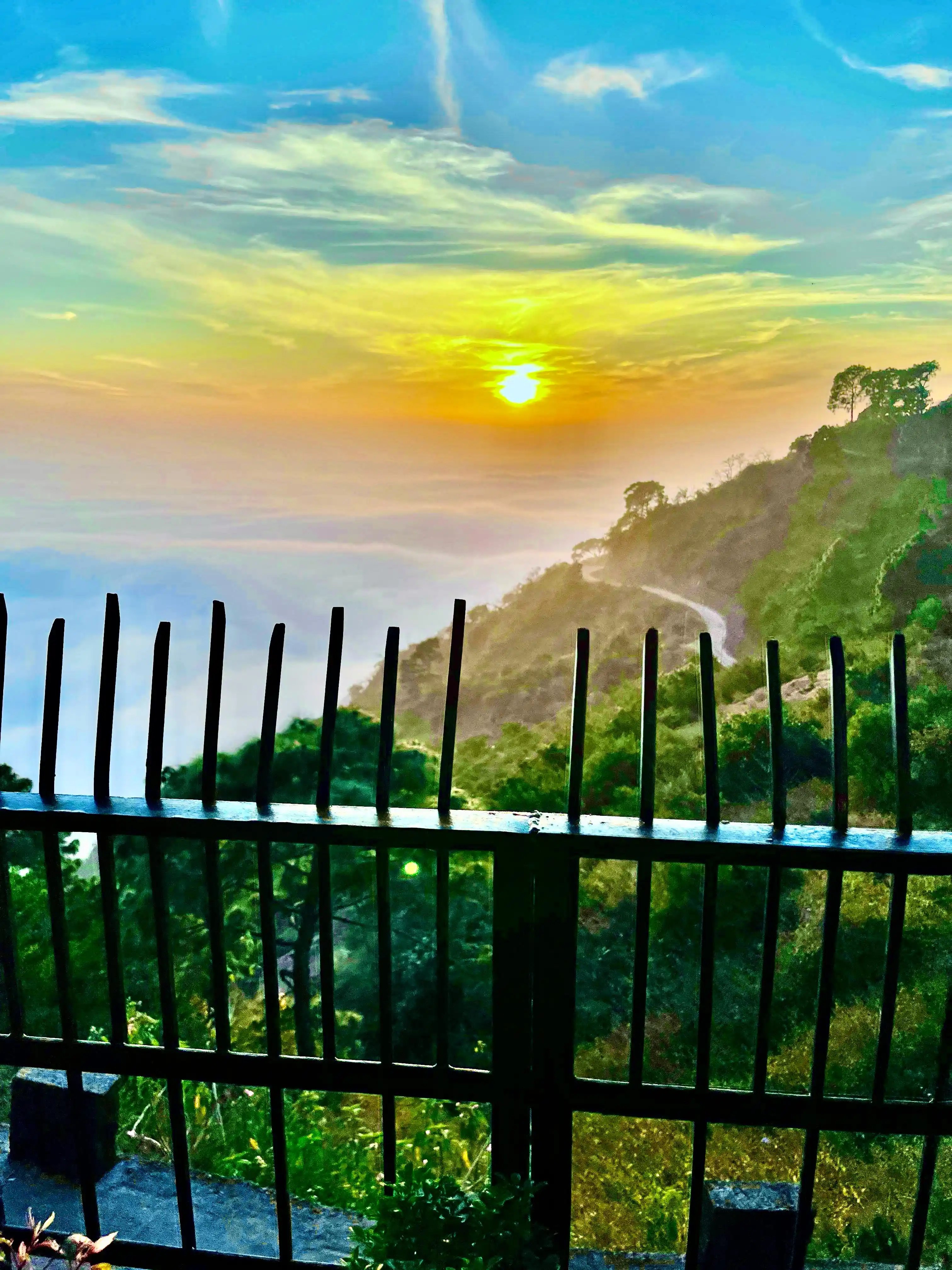 The Cloud Homestay Photo 1