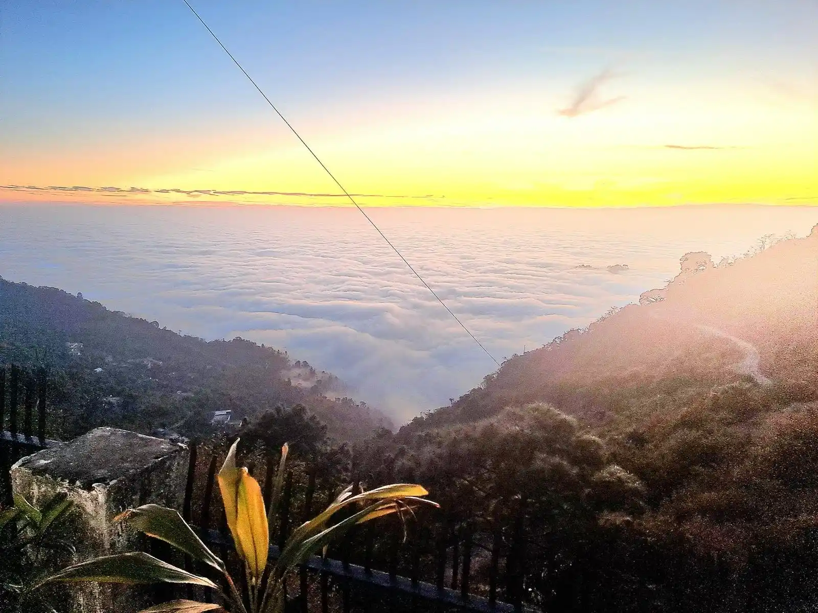 The Cloud Homestay Photo 6