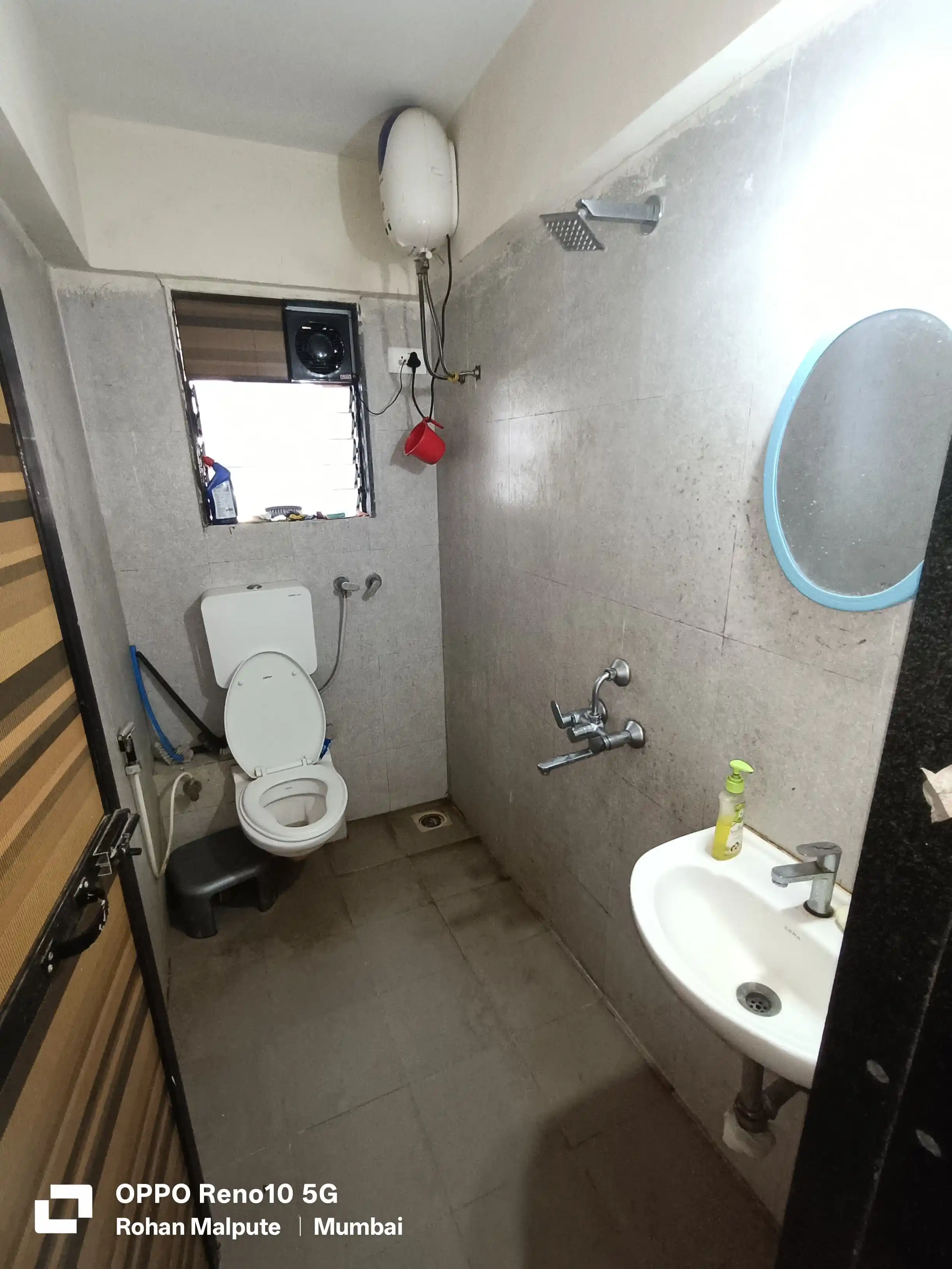 Premier Exotica 2 - Image 4