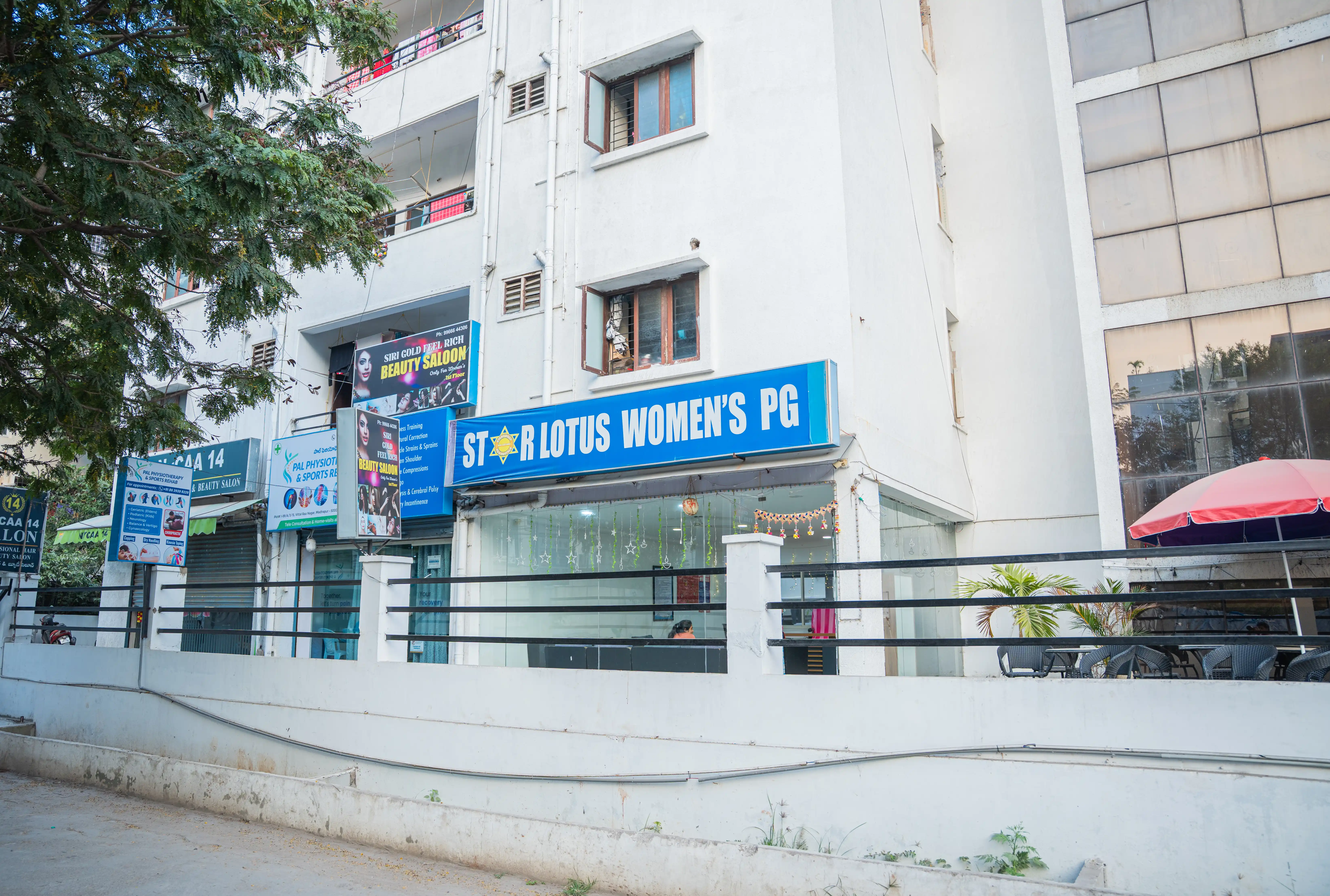 STAR LOTUS - Image 4