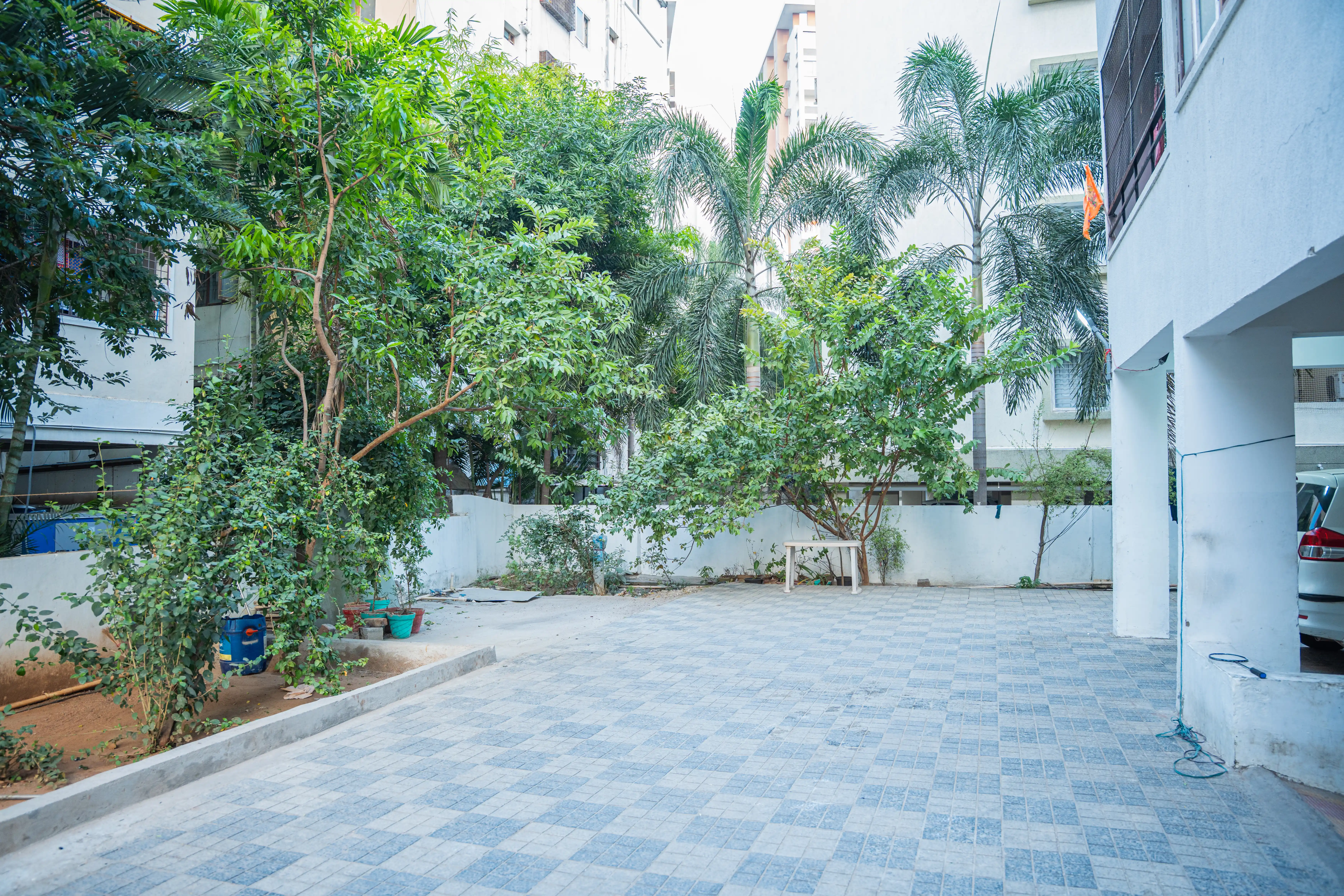 STAR LOTUS - Image 9