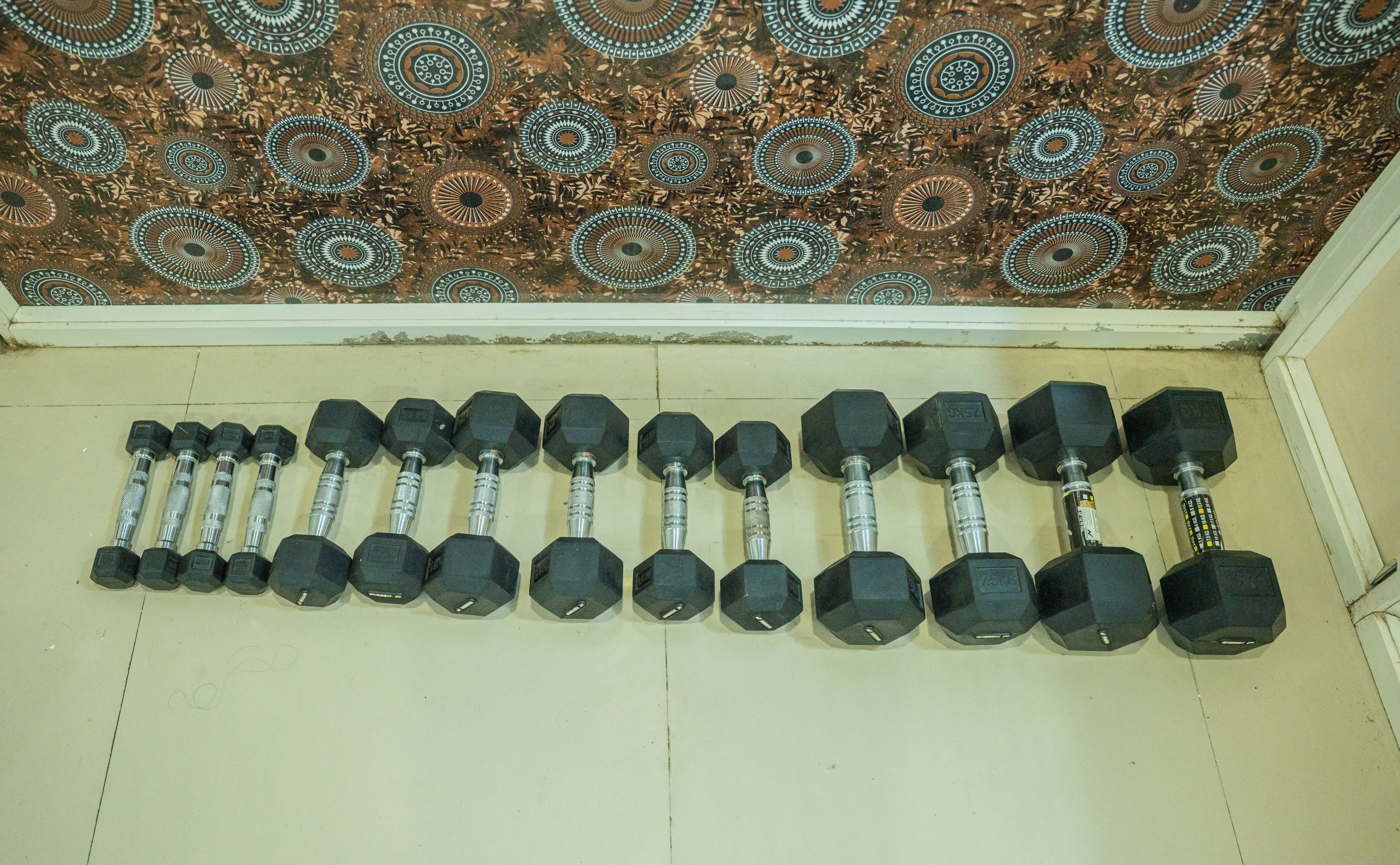 STAR LOTUS - Image 13