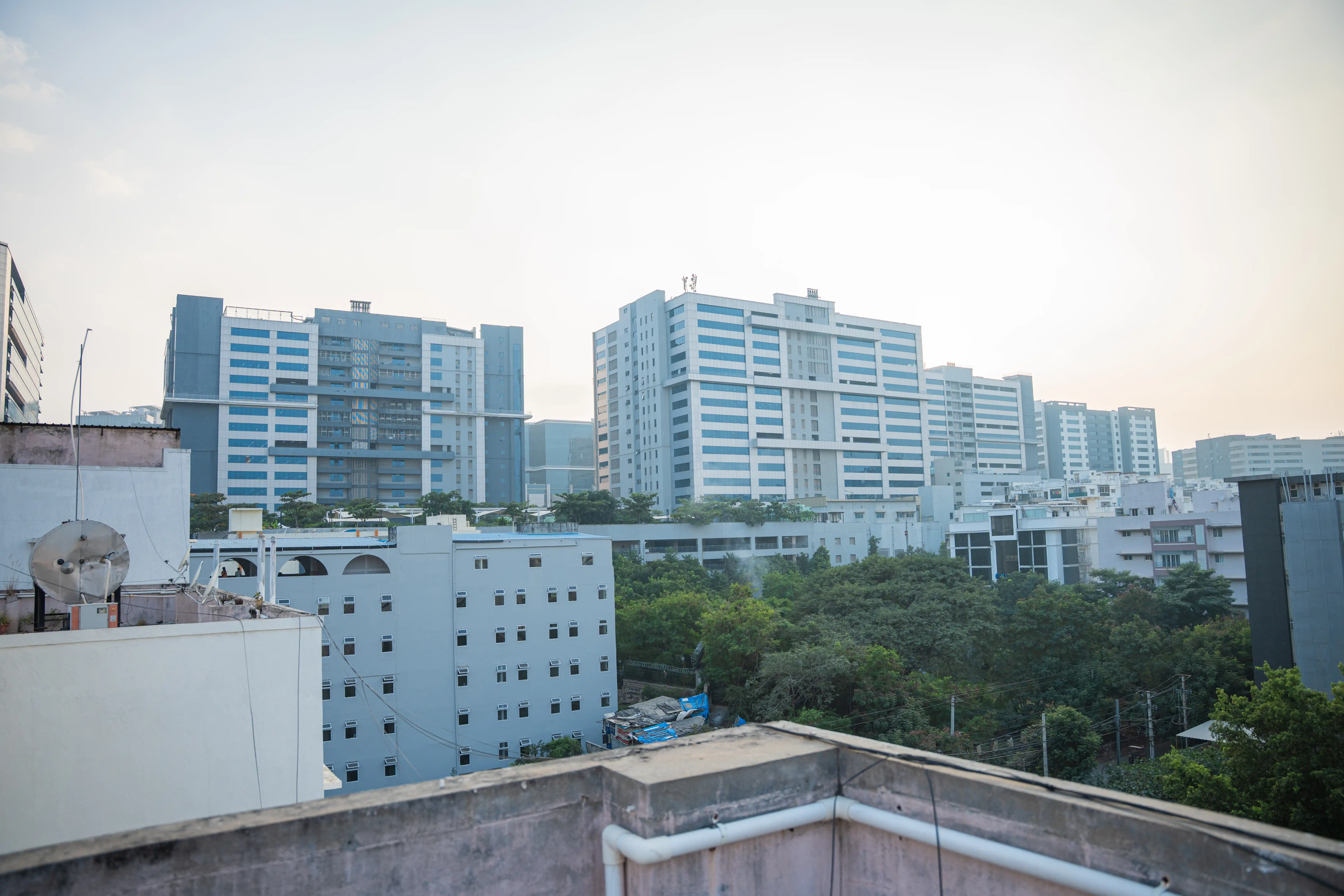 STAR LOTUS - Image 18