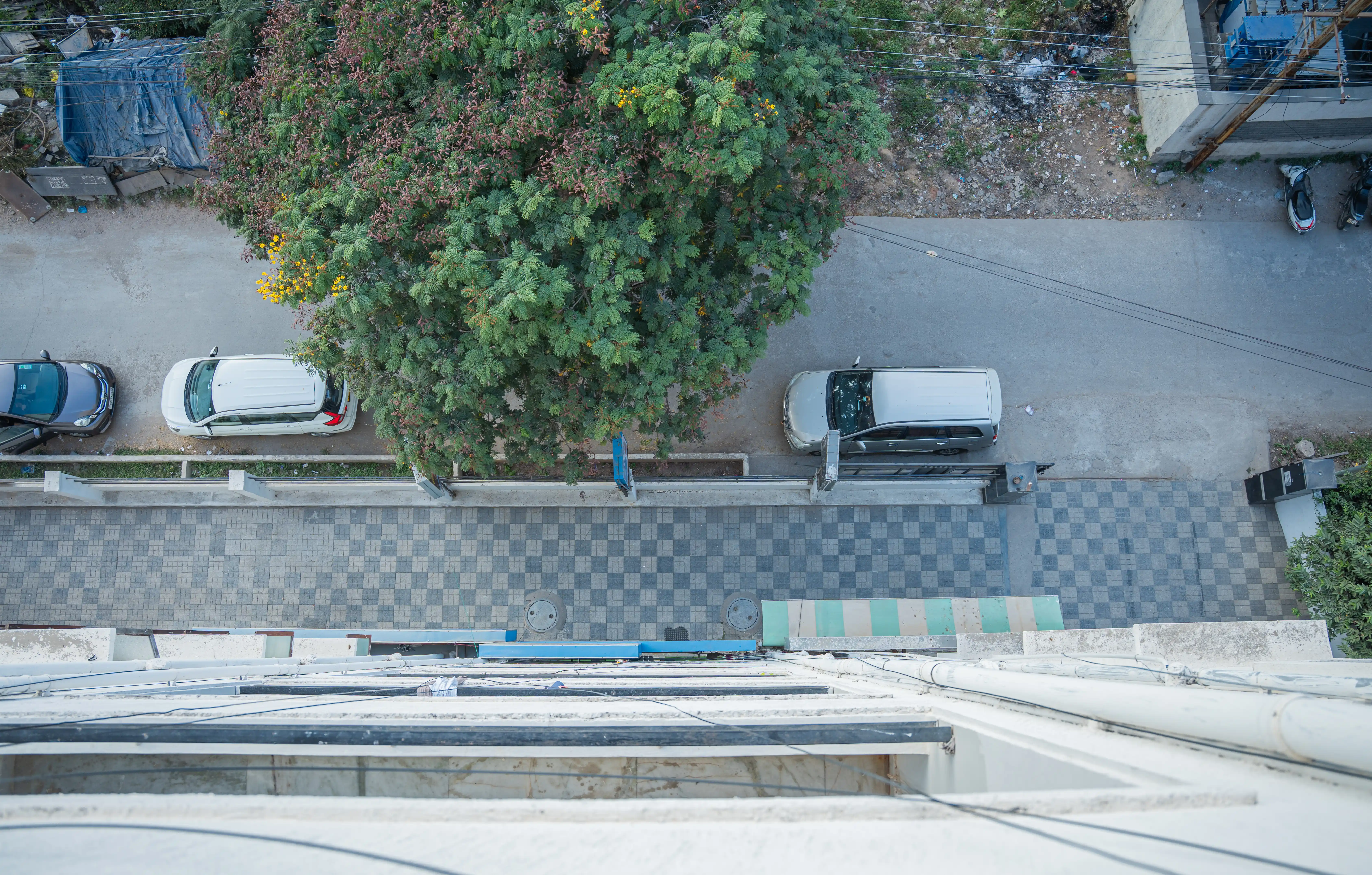 STAR LOTUS - Image 19