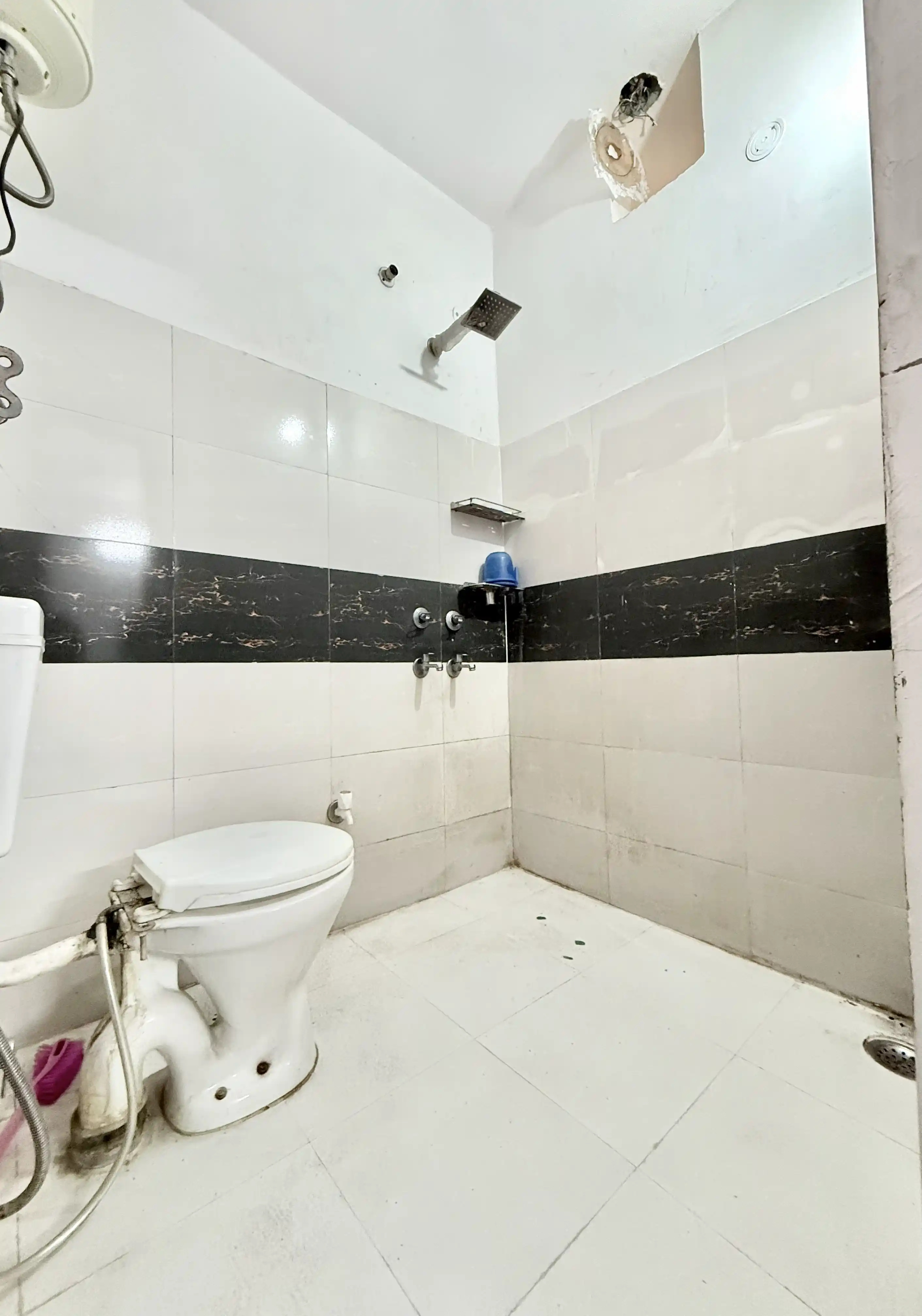 Livit Stays Gold Photo 6 Livit Stays Gold Photo 6