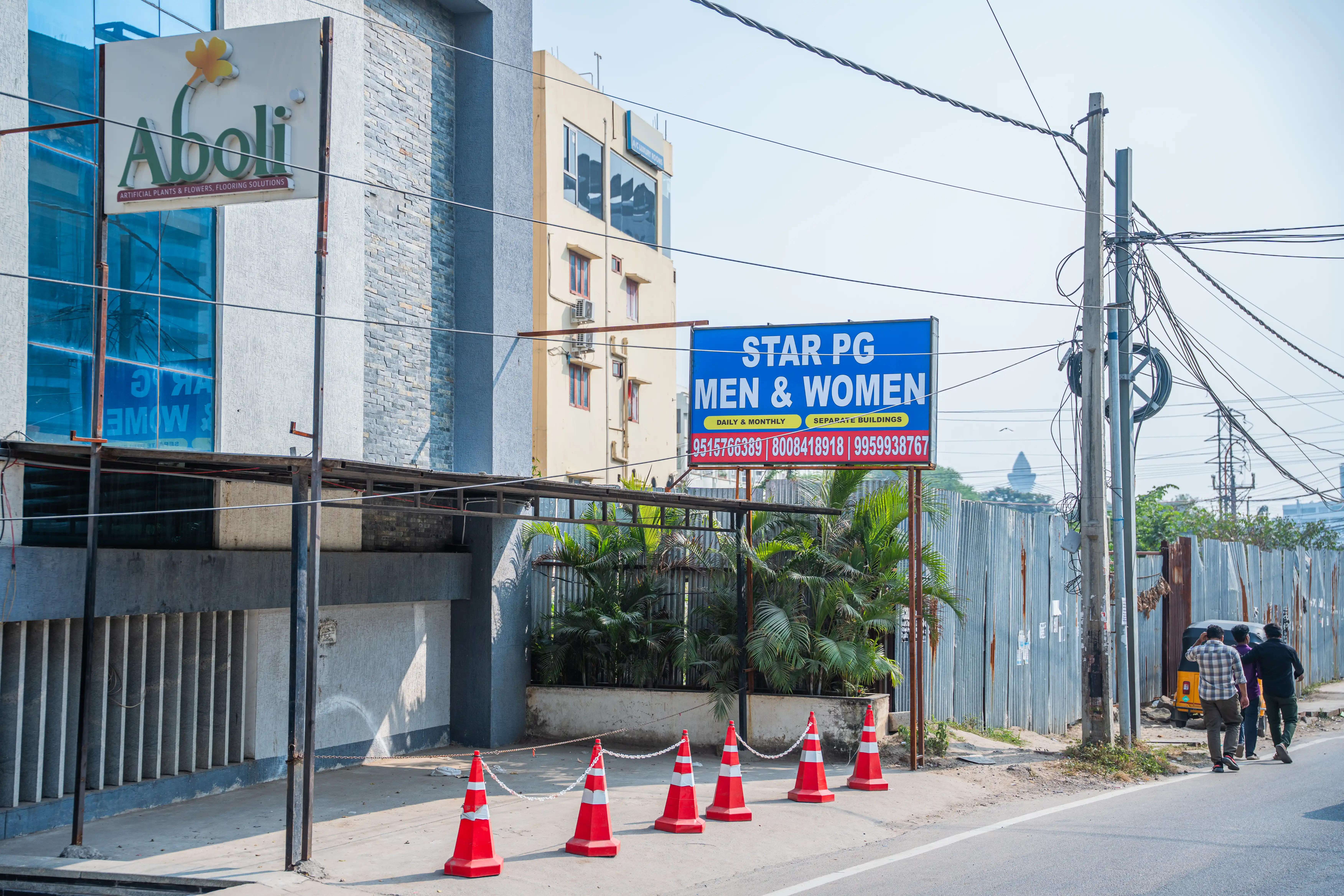 STAR Colive - Image 5