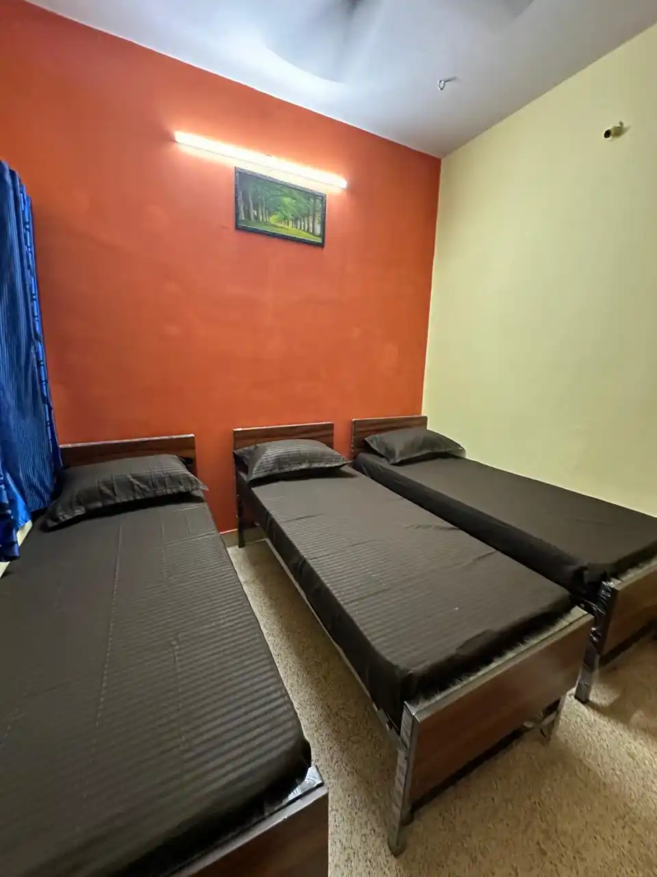 Spring Fields PG For Men Vijayanagar - Image 25